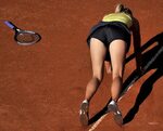 Maria Sharapova (15 фото)